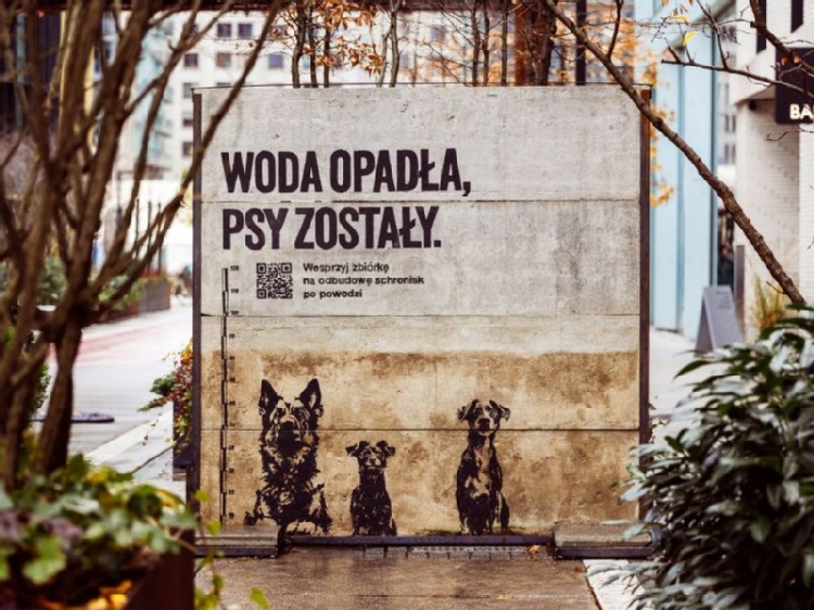 Woda opadła, psy zostały